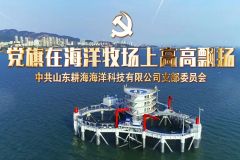 党旗在海洋牧场上高高飘扬